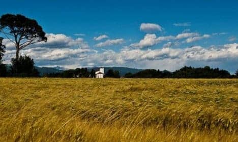 Friuli Venezia Giulia A Cavallo: L'Ippovia della Valle del Cormôr 